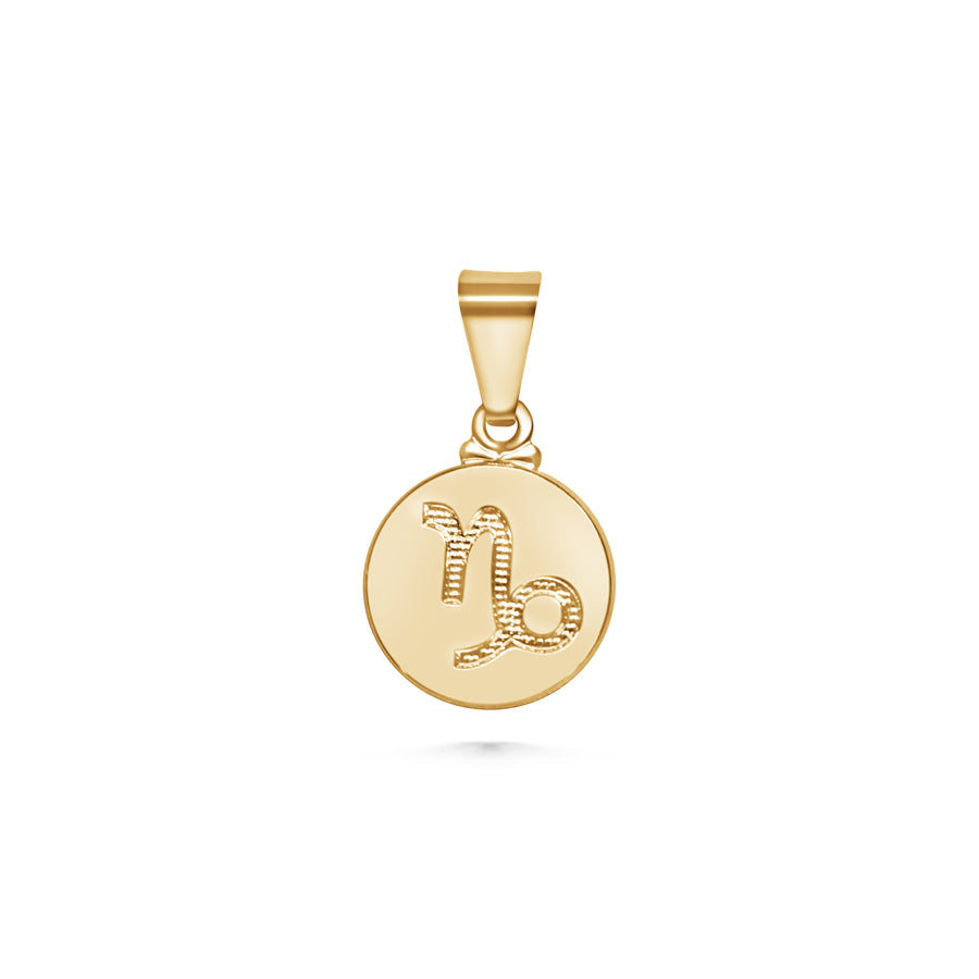 Zodiac Coin Charm