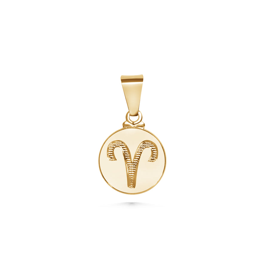 Zodiac Coin Charm