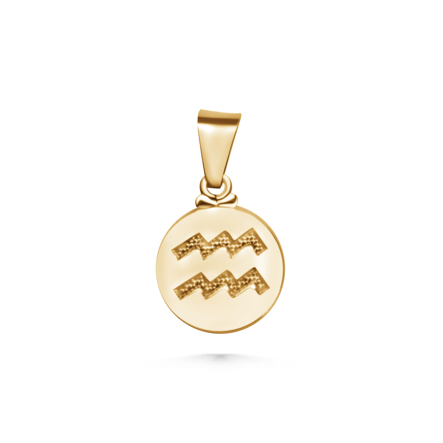 Zodiac Coin Charm