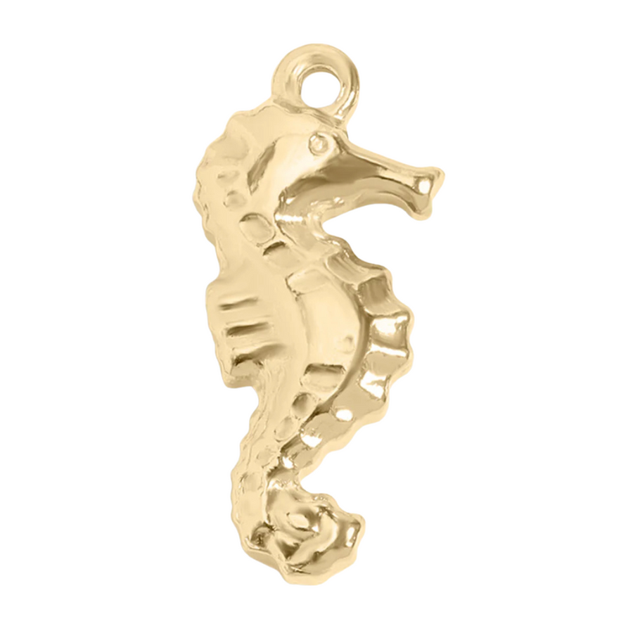 Seahorse Charm
