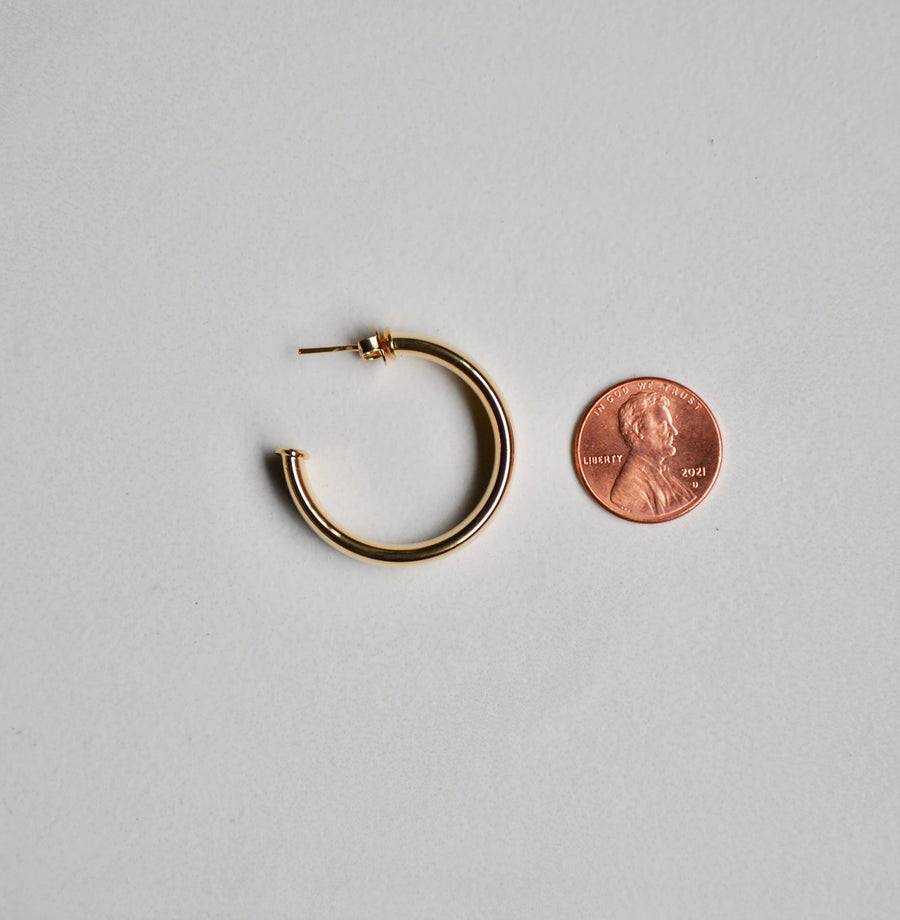Emily Hoops